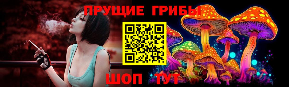 Псилоцибиновые грибы прущие грибы  Вход с VPN  дарнет шоп  Элиста 