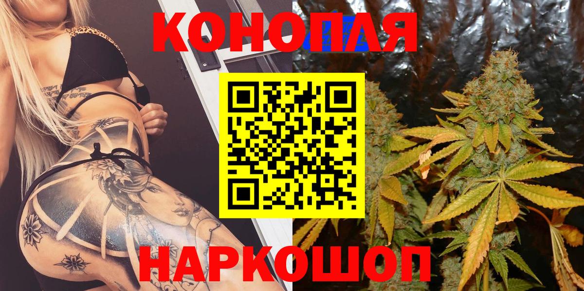 Канабис план Элиста